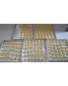 Sumprit Karin Cookies