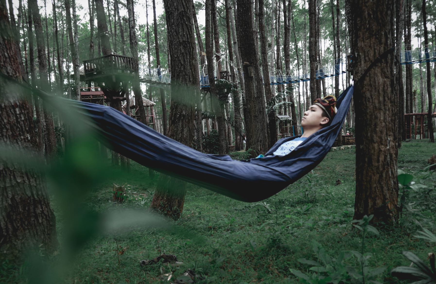 Berencana Wisata Ke Baubau? Ini Rute Menuju Hutan Pinus Samparona