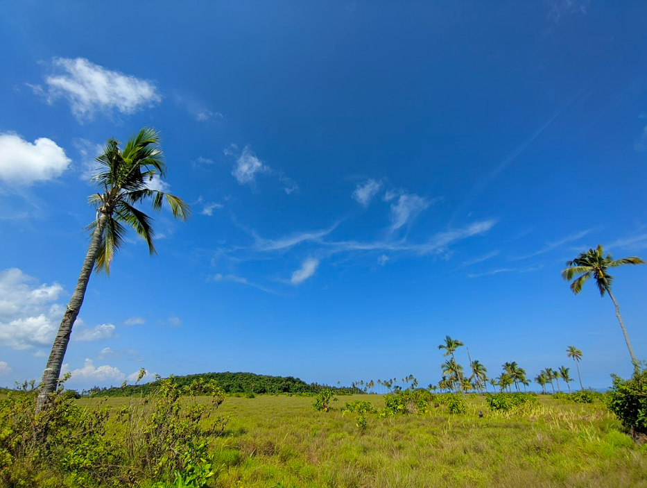 Soft Travel, Tren Wisata 2025 untuk Kesehatan Mental